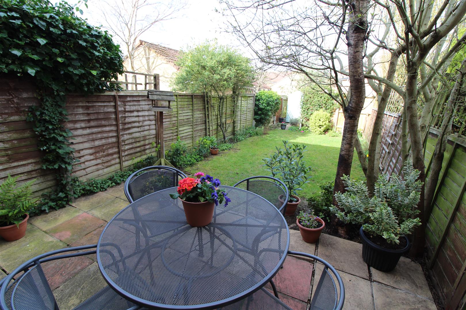 Tamarin Gardens, Cambridge image 10
